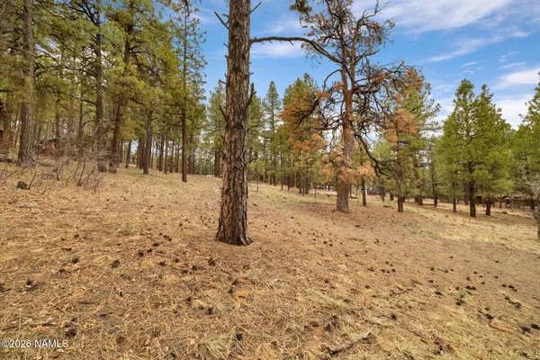 $220,000 | 7804 East Long Bow Drive, Williams, AZ 86046