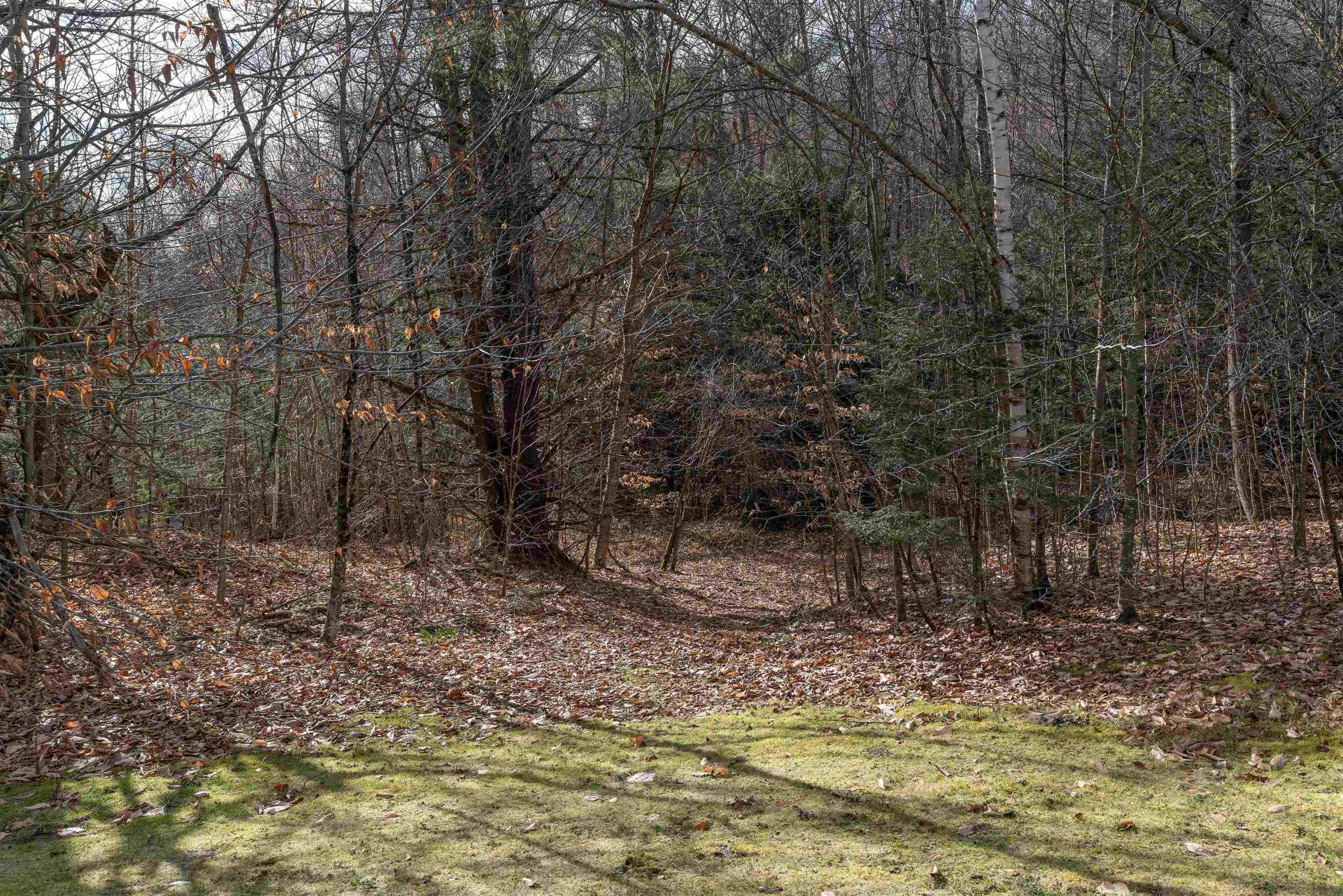 1319 Webster Hill Road Pomfret, VT 05067 - Photo 9 of 36