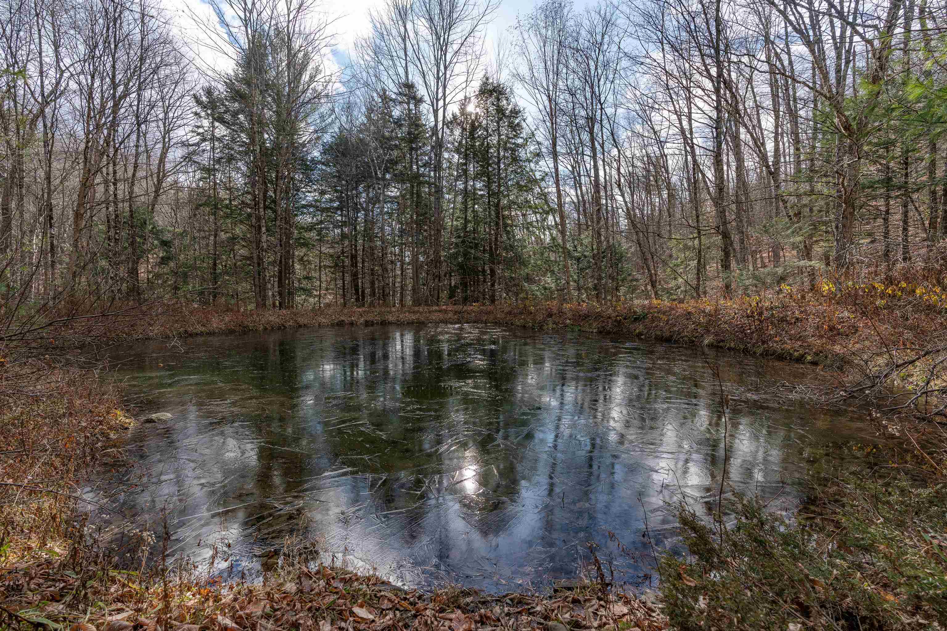 1319 Webster Hill Road Pomfret, VT 05067 - Photo 10 of 36