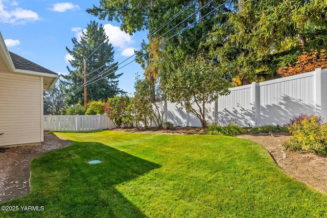 a view of a backyard with plants and large trees