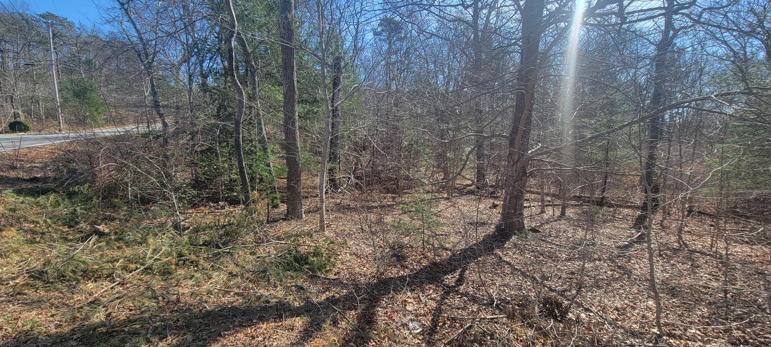 314 Pimlico Pond Road Mashpee, MA 02649 - Photo 11 of 17 ETSells_314 Pimlico Pond Rd Mashpee MA 0