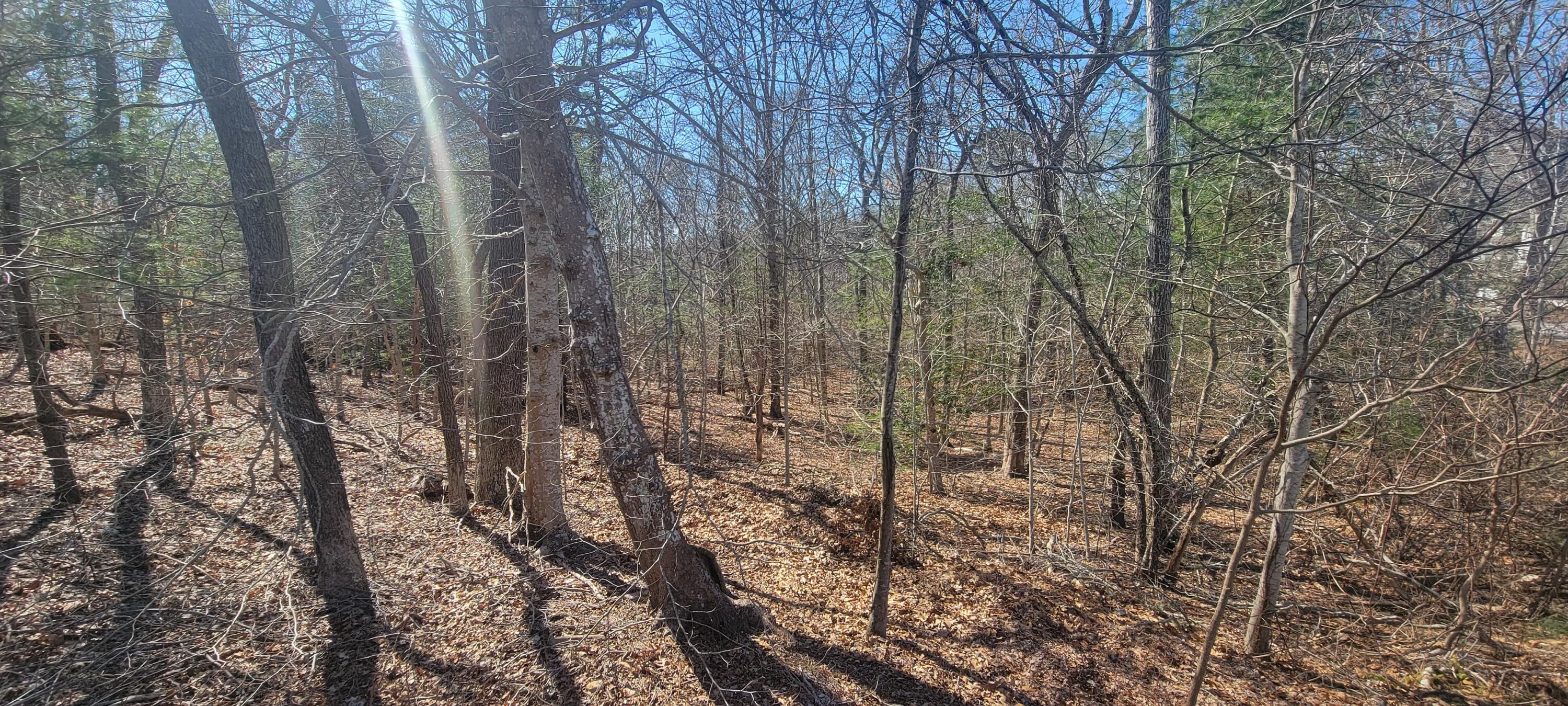 314 Pimlico Pond Road Mashpee, MA 02649 - Photo 3 of 17 ETSells_314 Pimlico Pond Rd Mashpee MA 0