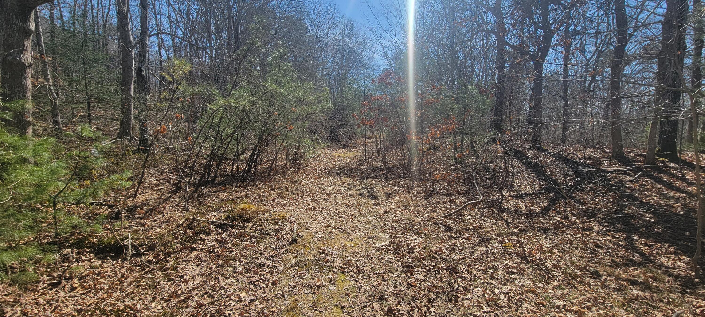 314 Pimlico Pond Road Mashpee, MA 02649 - Photo 5 of 17 ETSells_314 Pimlico Pond Rd Mashpee MA 0