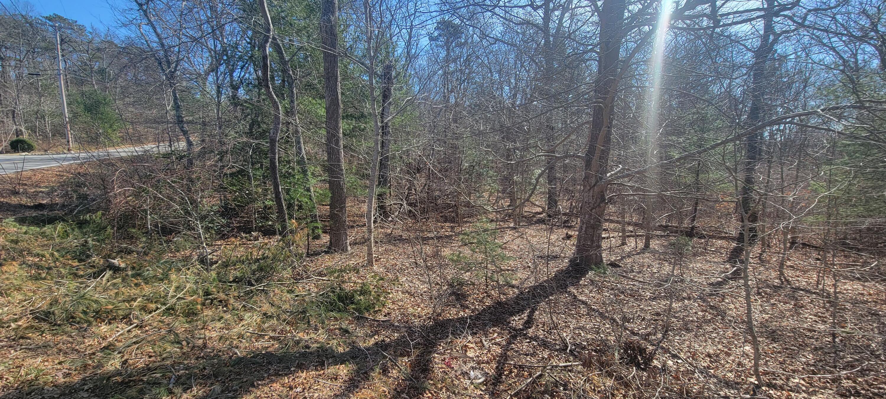 314 Pimlico Pond Road Mashpee, MA 02649 - Photo 6 of 17 ETSells_314 Pimlico Pond Rd Mashpee MA 0