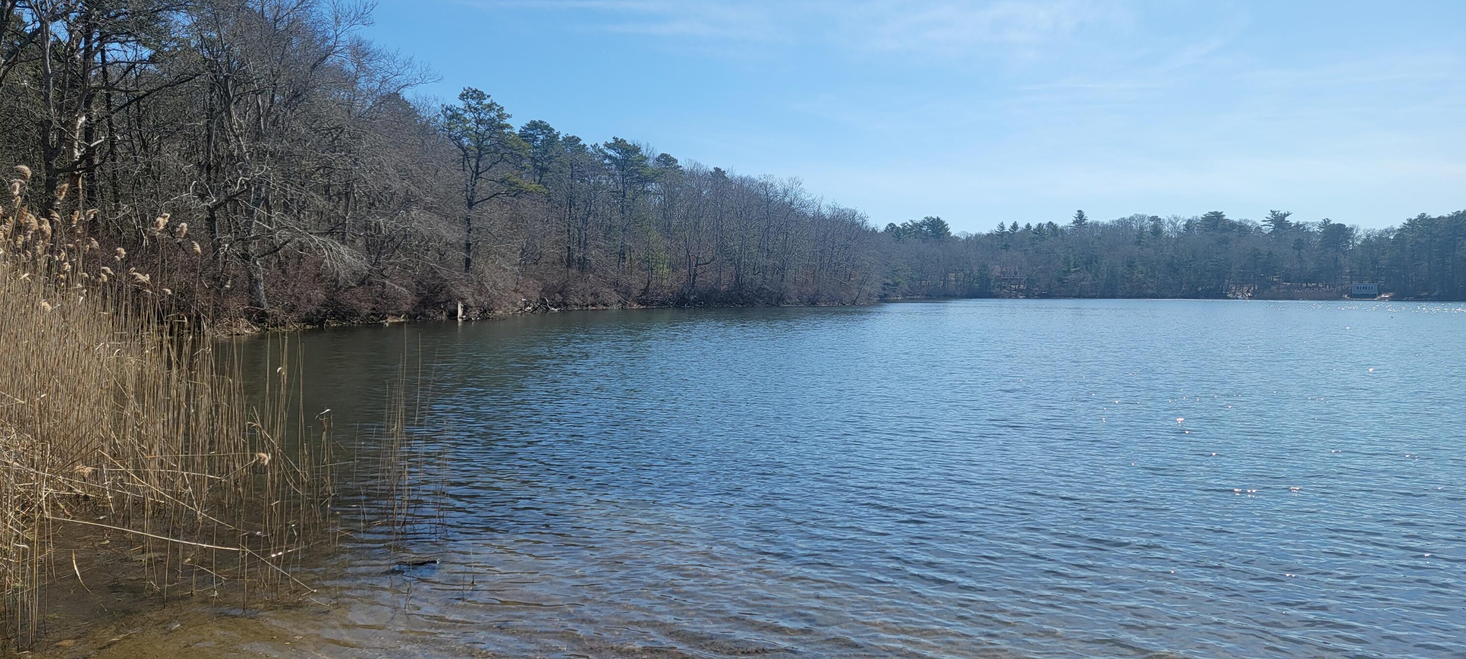 314 Pimlico Pond Road Mashpee, MA 02649 - Photo 7 of 17 ETSells_314 Pimlico Pond Rd Mashpee MA 0