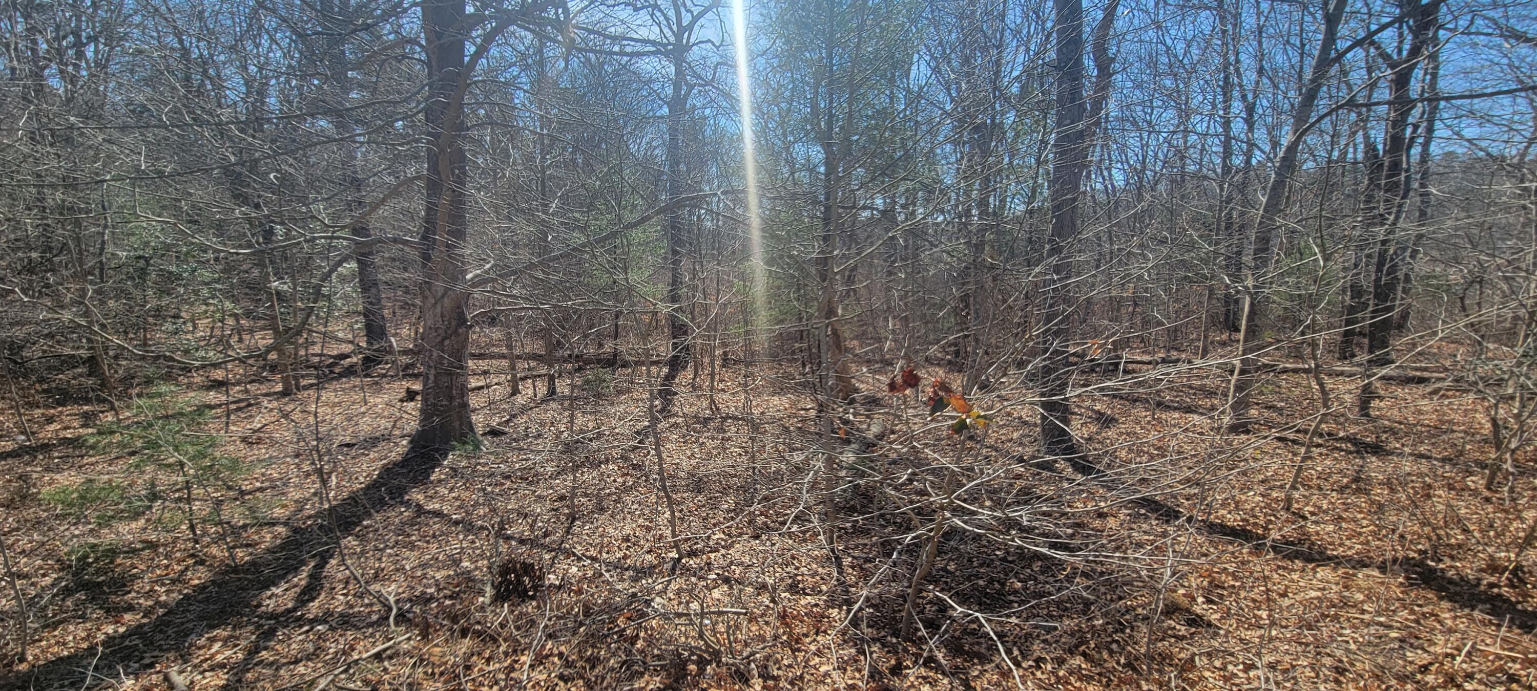 314 Pimlico Pond Road Mashpee, MA 02649 - Photo 10 of 17 ETSells_314 Pimlico Pond Rd Mashpee MA 0