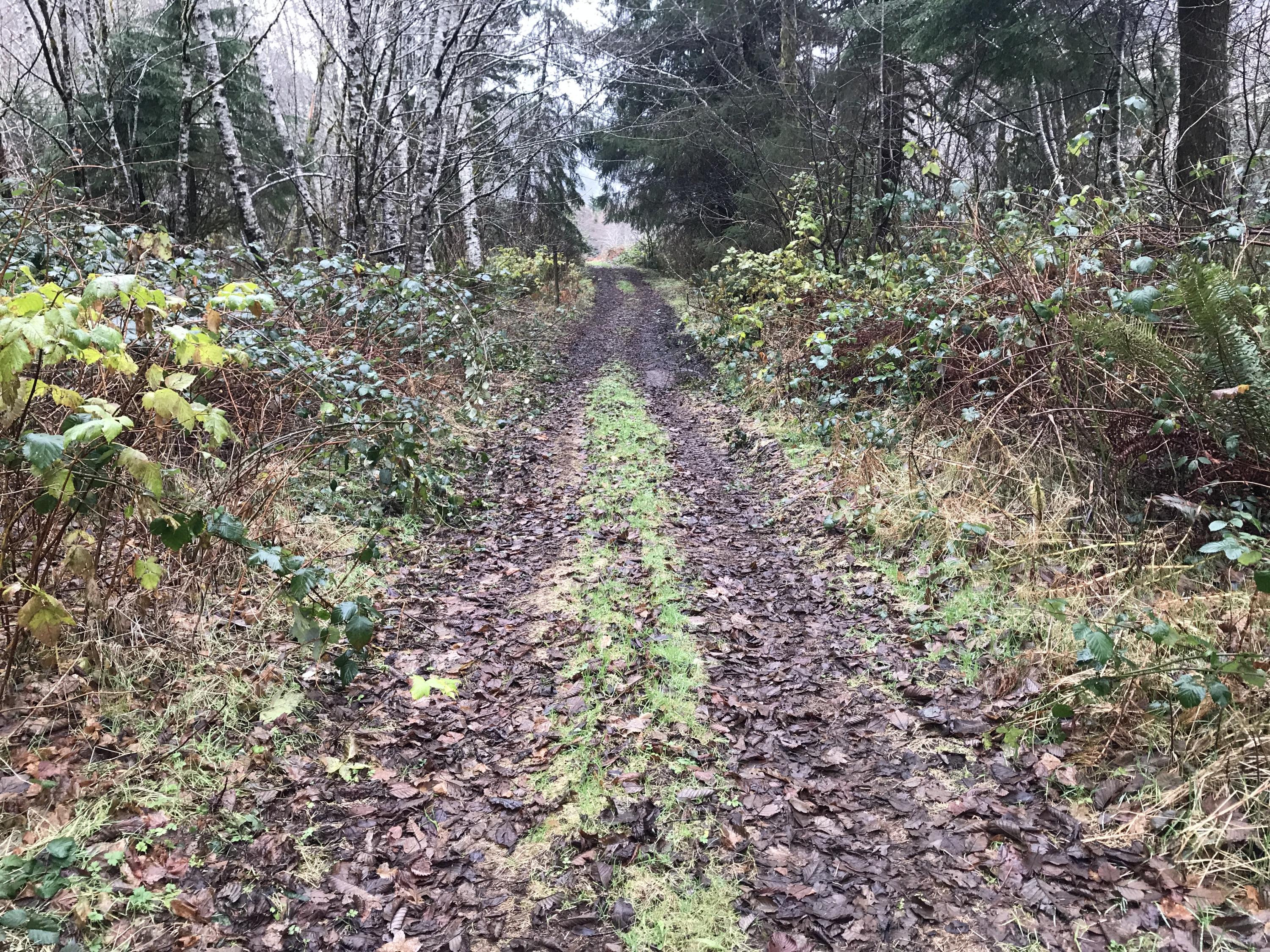 V/l Miami Foley Road Nehalem, OR 97131 - Photo 3 of 21 Lot