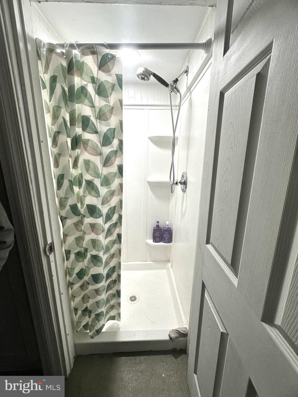 1608 Manor Road Dundalk, MD 21222 - Photo 21 of 22 shower in lower level