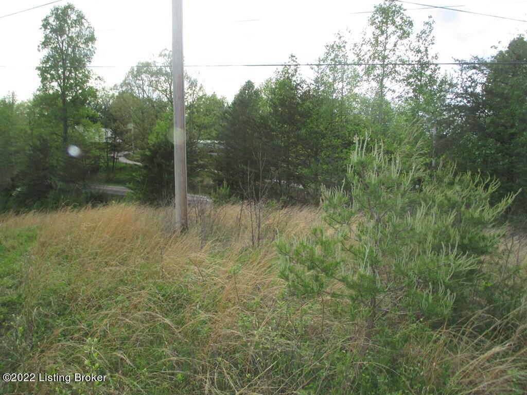 6308 Dan Ridge Road Wellington, KY 40387 - Photo 10 of 12 38904_9