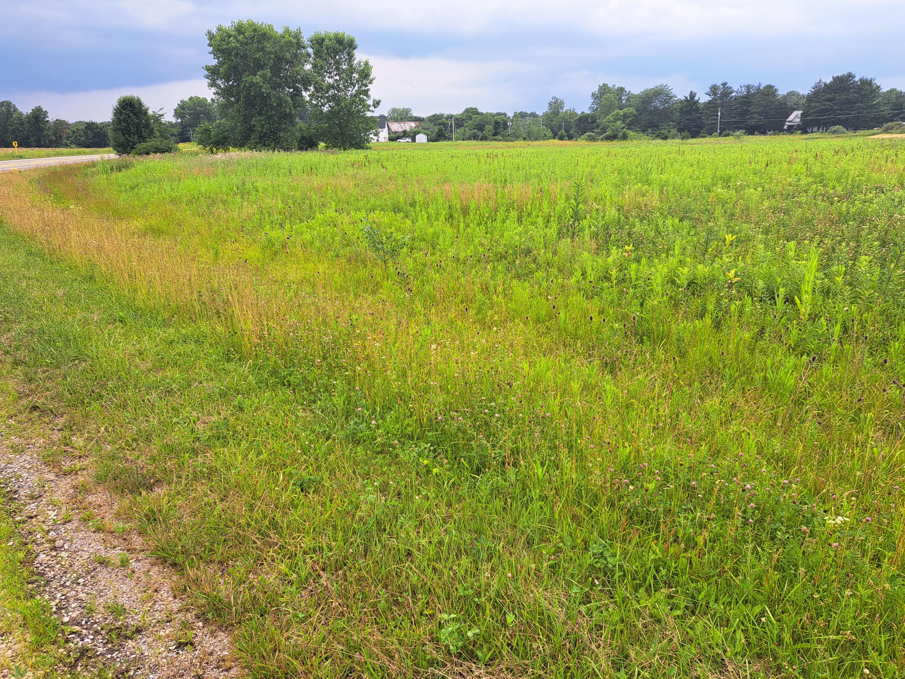 0 Blue Church Road Sunbury, OH 43074 - Photo 5 of 5 4