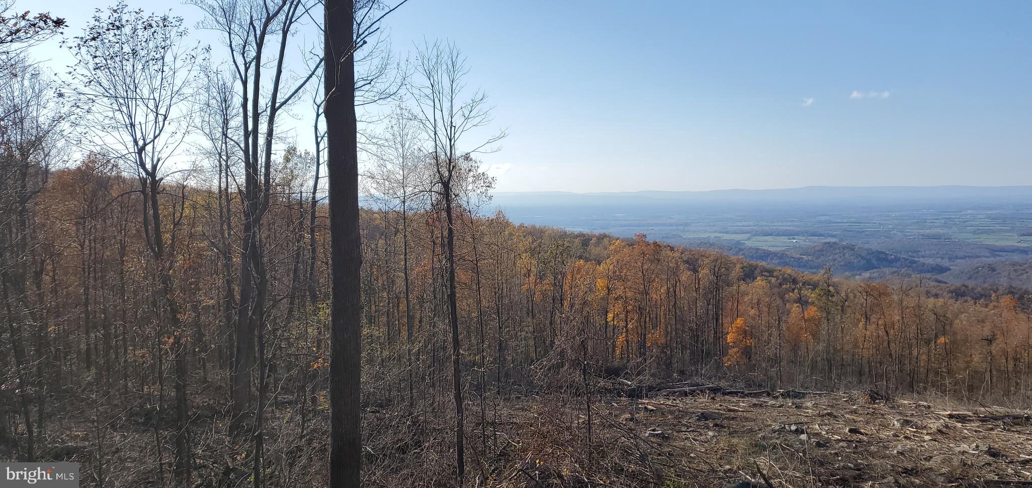12 Fire Trail Road Linden, VA 22642 - Photo 14 of 24 Gallery Image 14