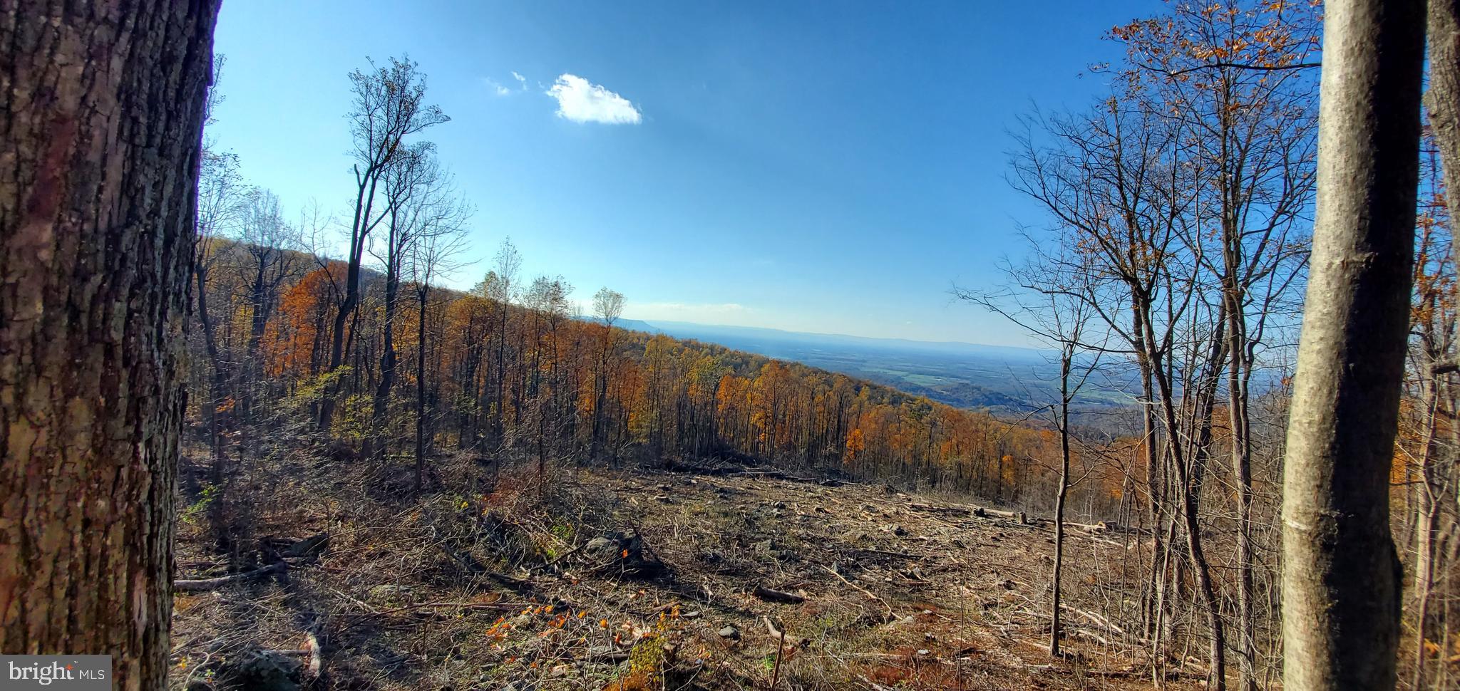 12 Fire Trail Road Linden, VA 22642 - Photo 21 of 24 Gallery Image 21