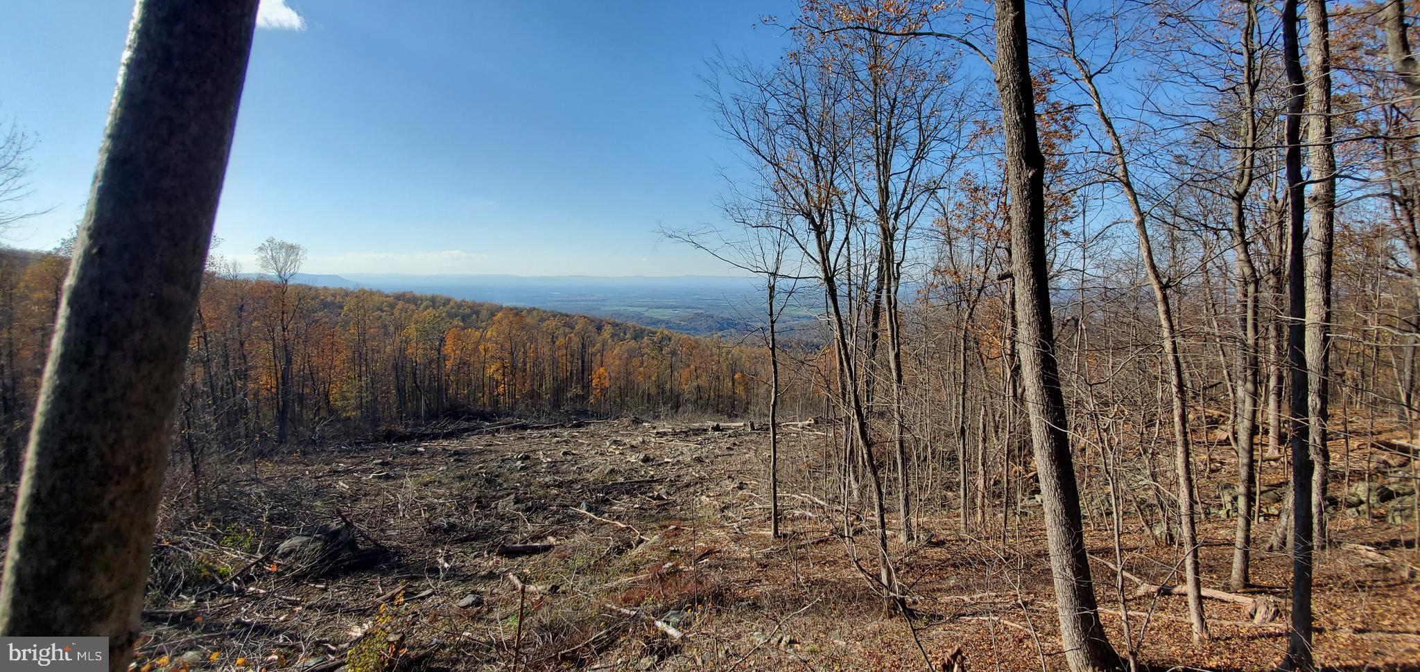 12 Fire Trail Road Linden, VA 22642 - Photo 22 of 24 Gallery Image 22