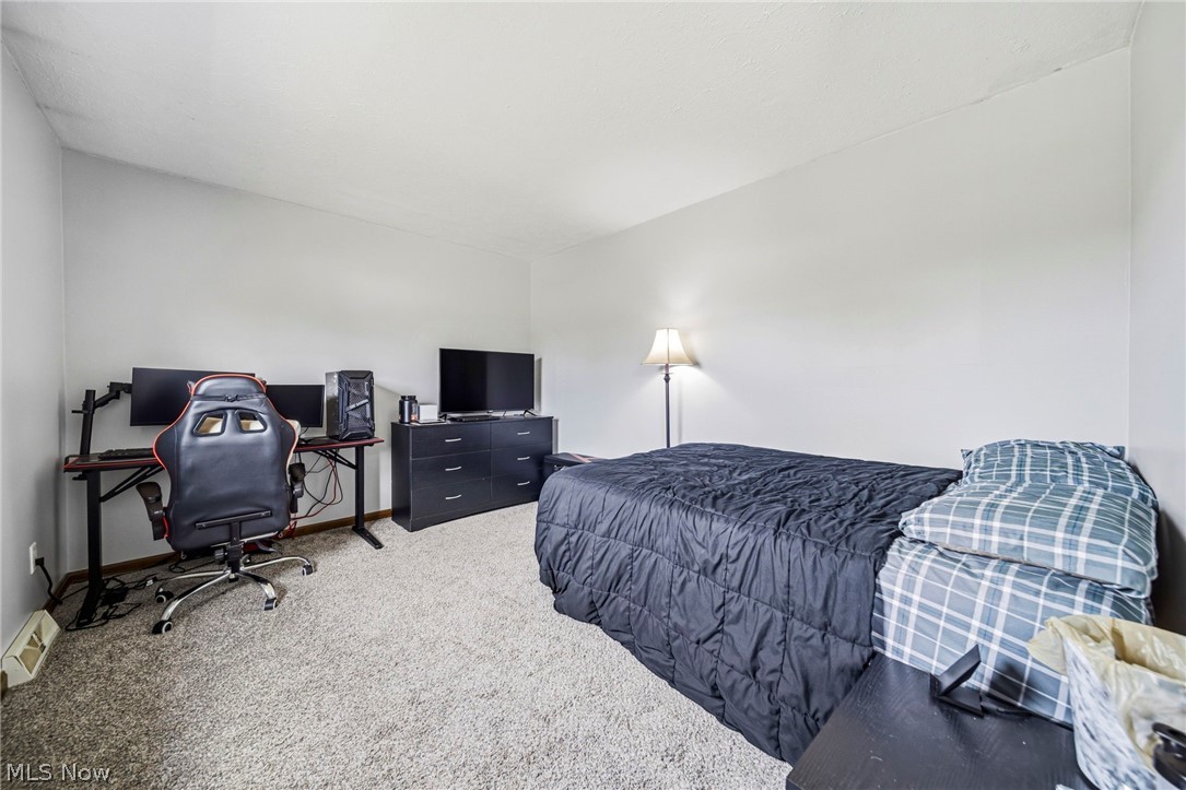 10610 Ridgewater Drive Painesville, OH 44077 - Photo 20 of 23 Carpeted bedroom