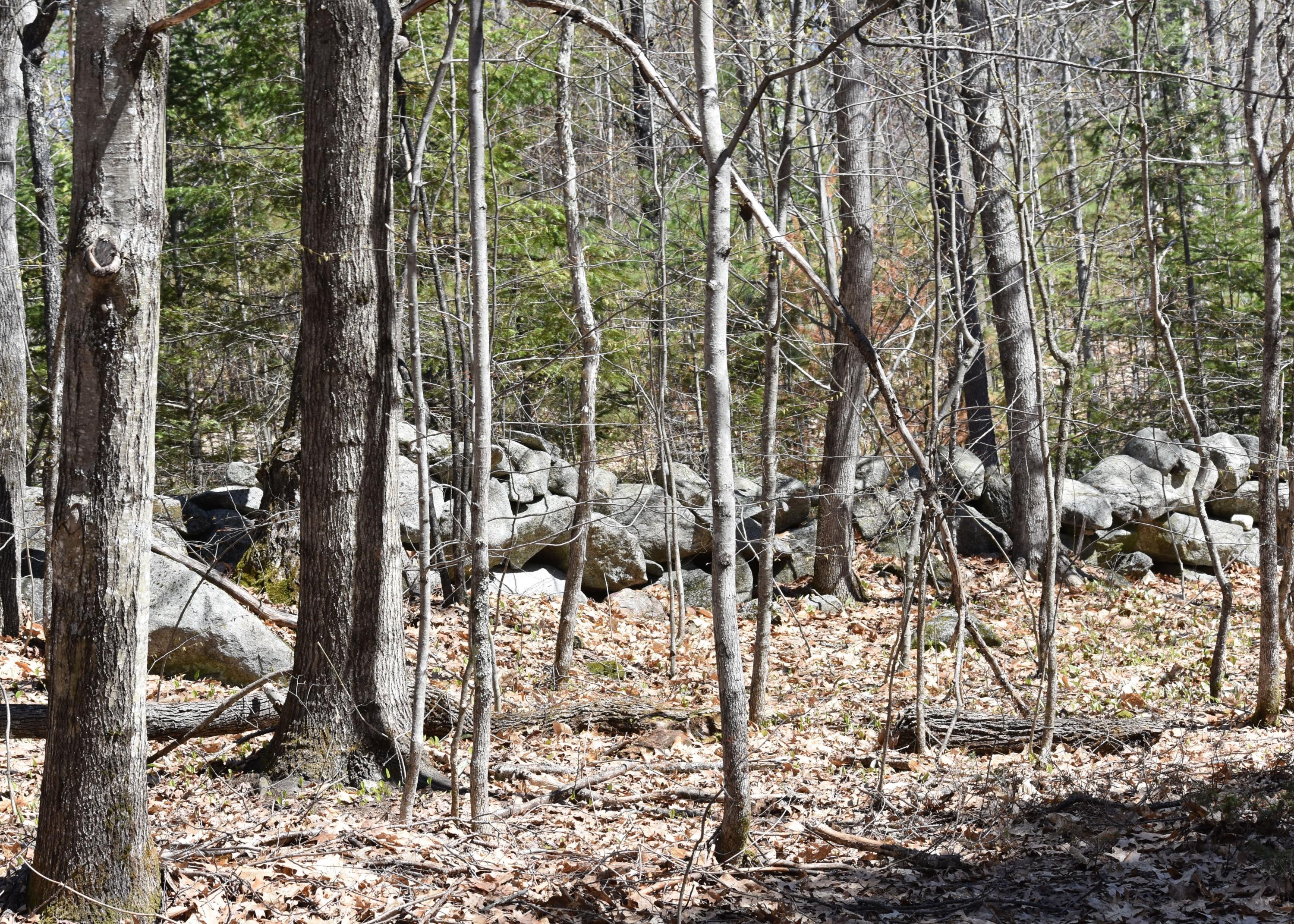 53 Twitchell Road Bryant Pond, ME 04219 - Photo 26 of 32 DSC_0156