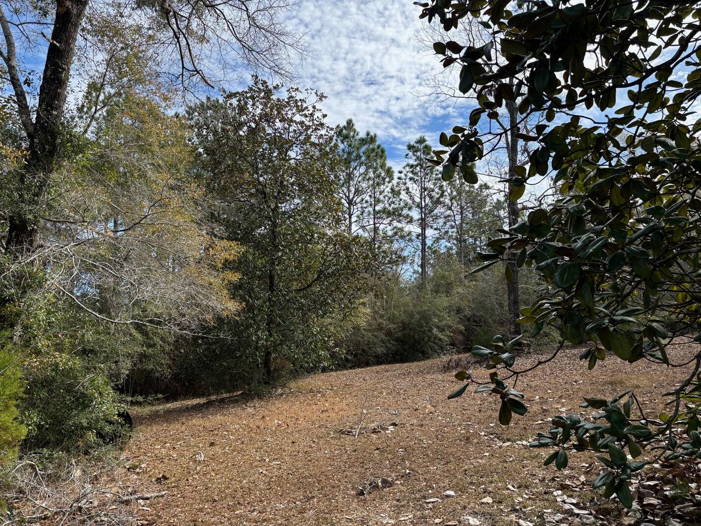 3181 Aplin Road Crestview, FL 32539 - Photo 25 of 30 IMG_4679