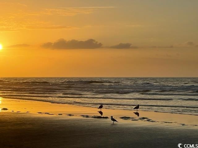 454 Ladyfish Loop Northwest Sunset Beach, NC 28468 - Photo 13 of 17