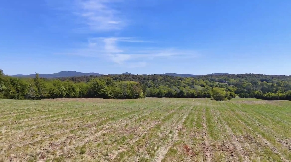 0 Holmes Gap Road Watertown, TN 37184 - Photo 3 of 12