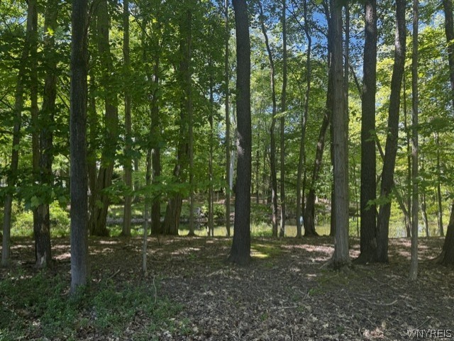 4233 Freeman Road Orchard Park, NY 14127 - Photo 50 of 50