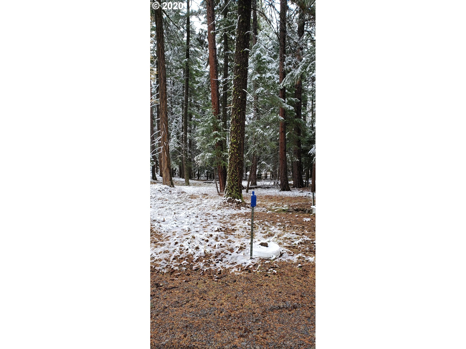 Blake Ranch, Unit 1900 Heppner, OR 97836 - Photo 11 of 16