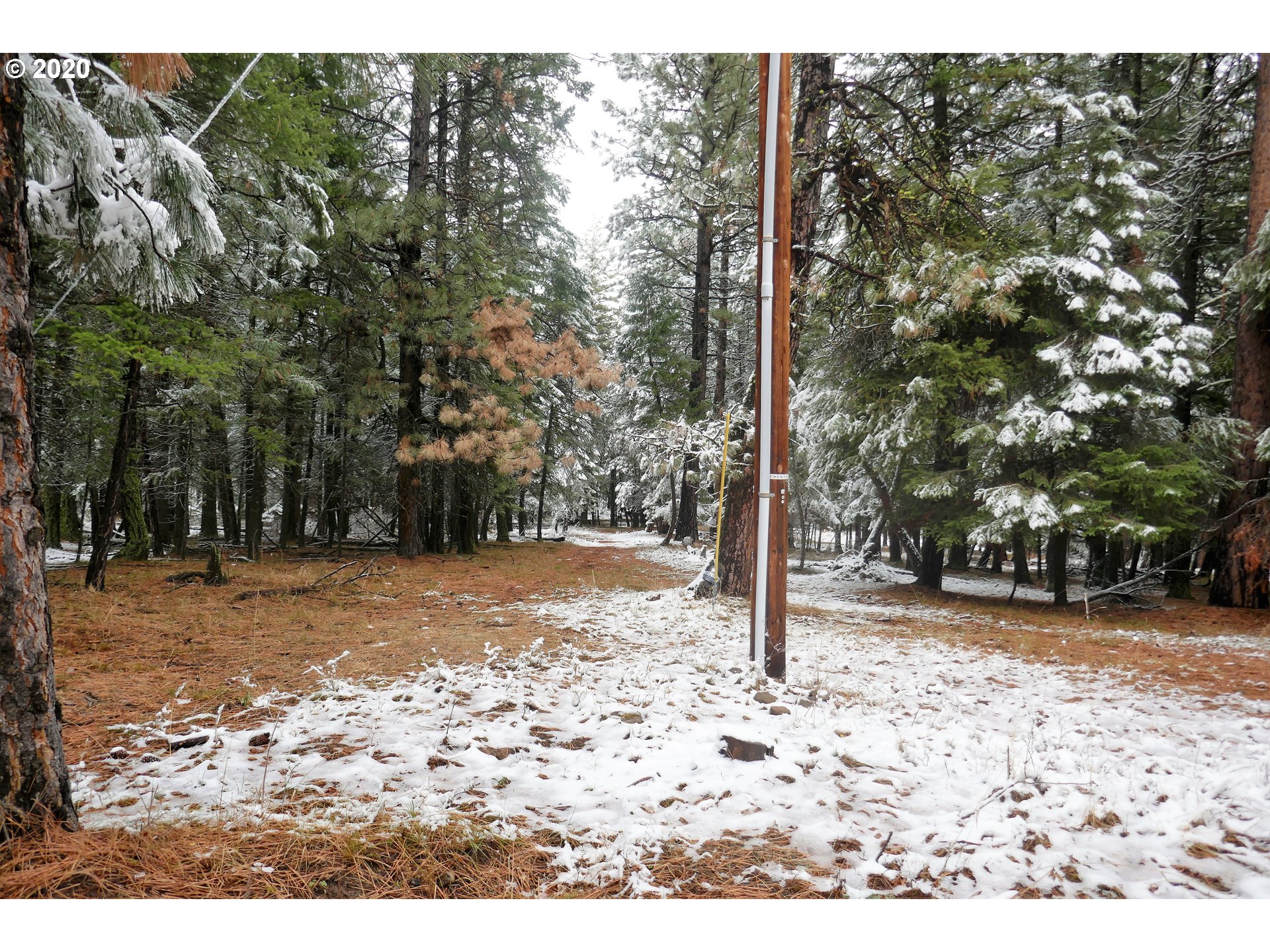 Blake Ranch, Unit 1900 Heppner, OR 97836 - Photo 3 of 16