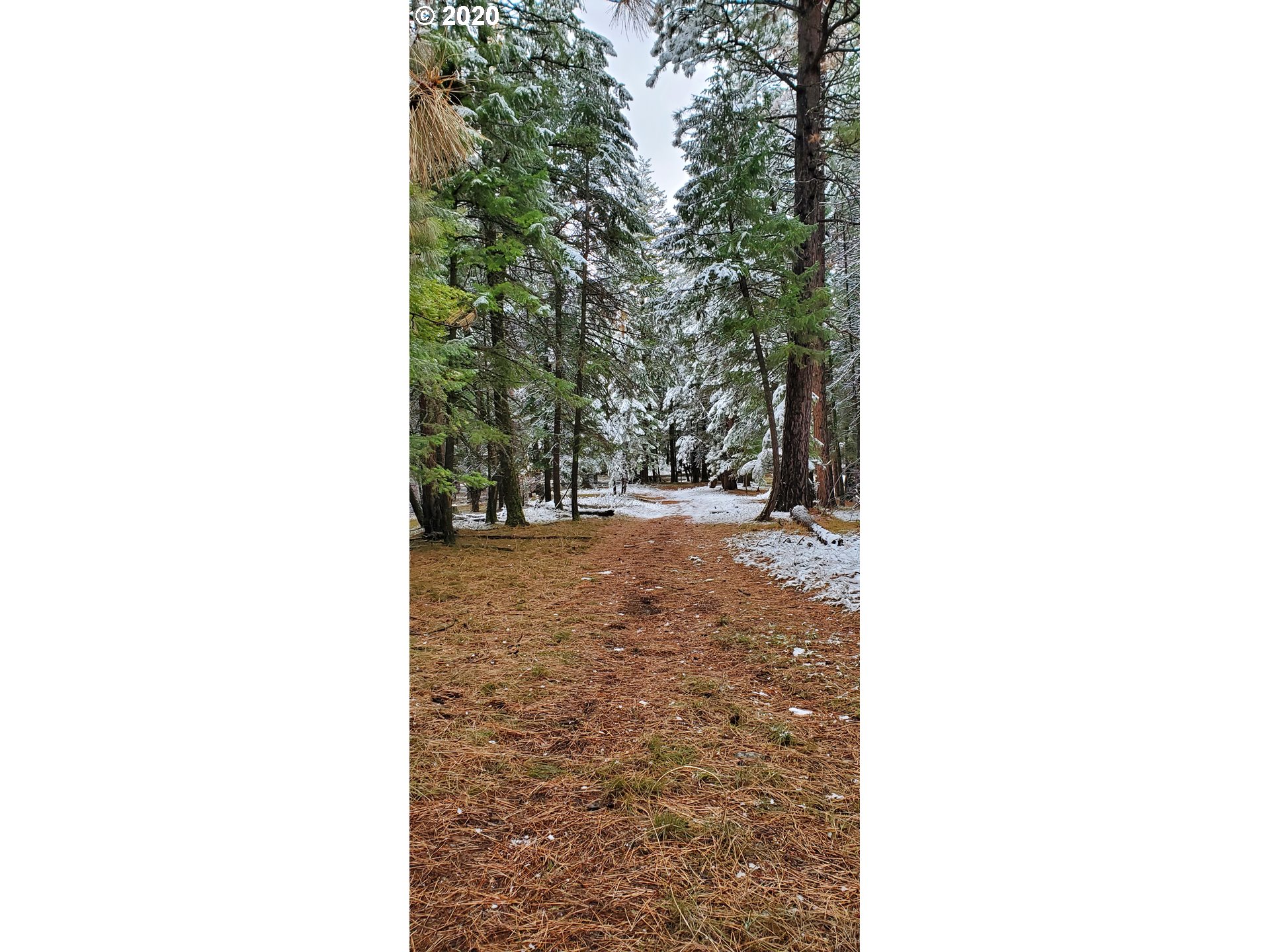 Blake Ranch, Unit 1900 Heppner, OR 97836 - Photo 8 of 16