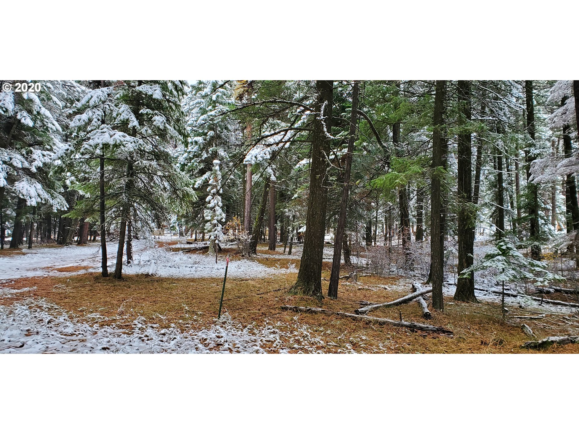 Blake Ranch, Unit 1900 Heppner, OR 97836 - Photo 10 of 16