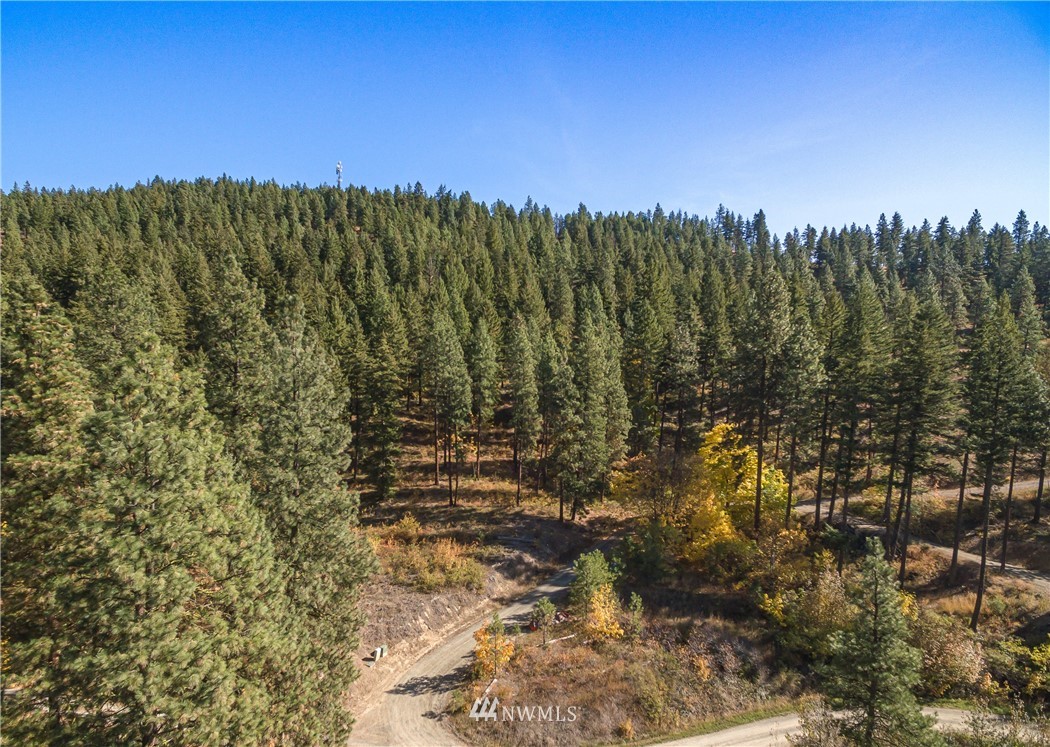 0 Fox Road Leavenworth, WA 98826 - Photo 2 of 10 Gallery Image 2