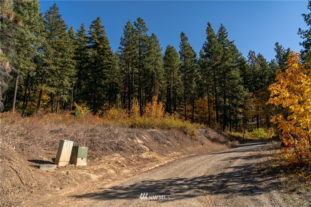 0 Fox Road Leavenworth, WA 98826 - Photo 3 of 10 Gallery Image 3