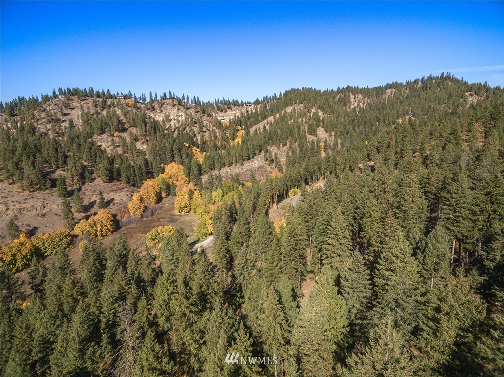 0 Fox Road Leavenworth, WA 98826 - Photo 4 of 10 Gallery Image 4