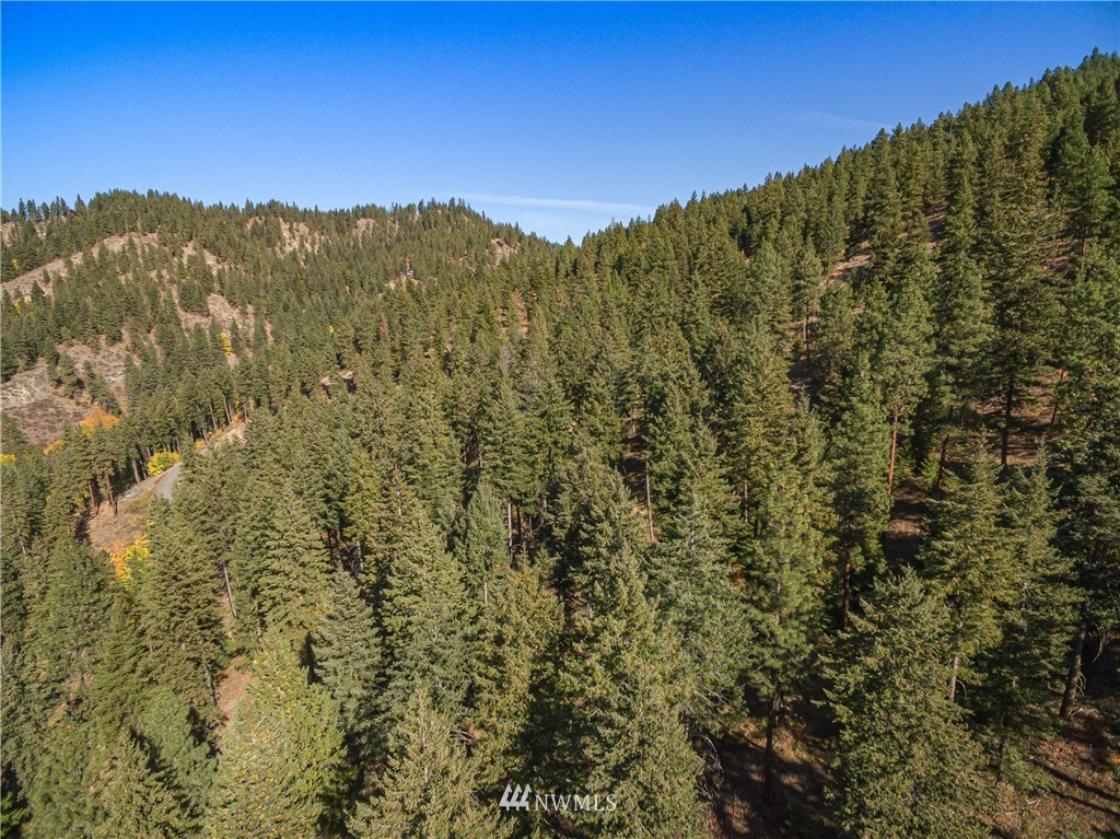 0 Fox Road Leavenworth, WA 98826 - Photo 5 of 10 Gallery Image 5