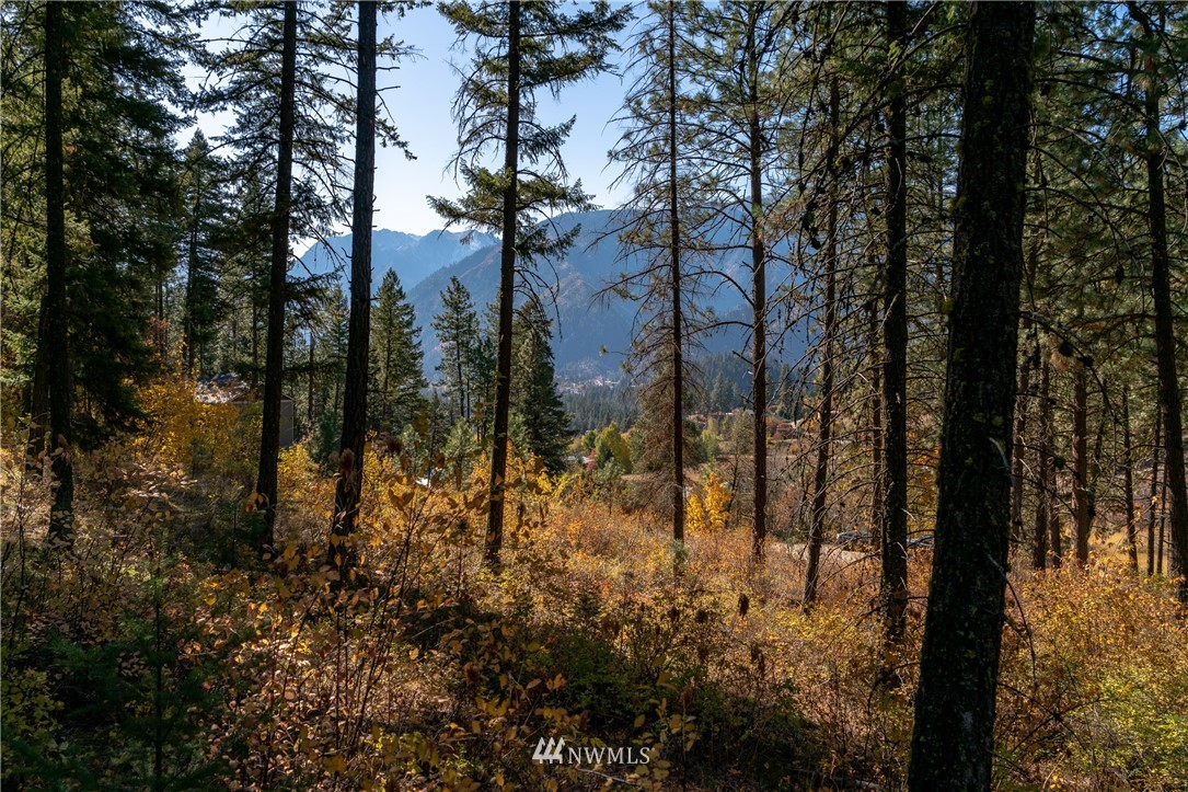 0 Fox Road Leavenworth, WA 98826 - Photo 7 of 10 Gallery Image 7