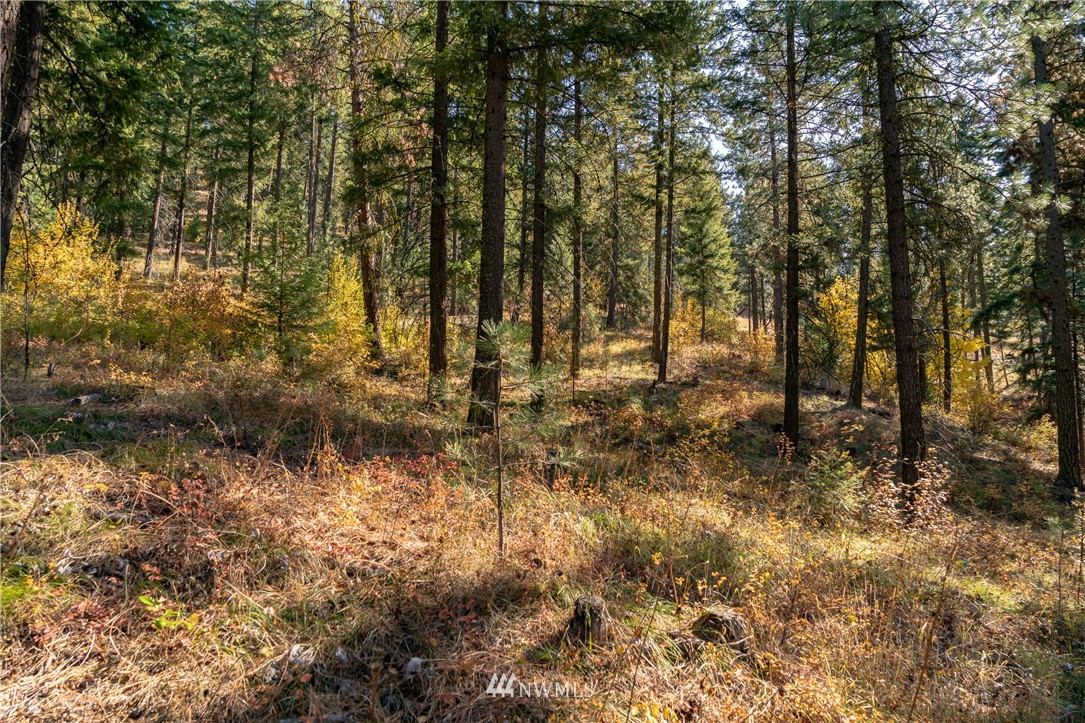 0 Fox Road Leavenworth, WA 98826 - Photo 8 of 10 Gallery Image 8