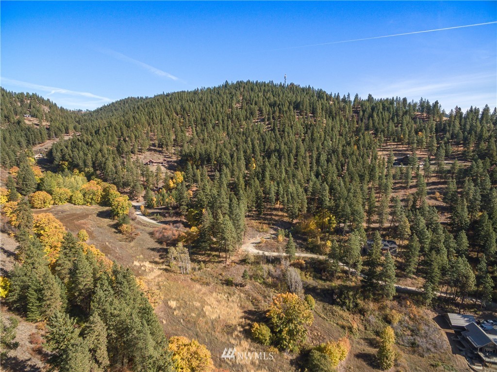 0 Fox Road Leavenworth, WA 98826 - Photo 10 of 10 Gallery Image 10