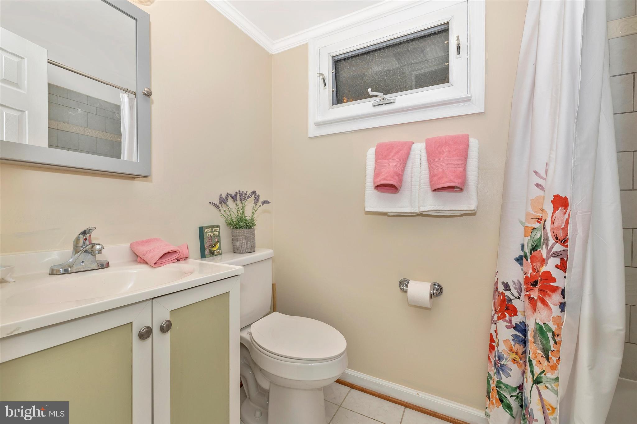 21366 Mt Lena Road Boonsboro, MD 21713 - Photo 15 of 25 Pretty bath