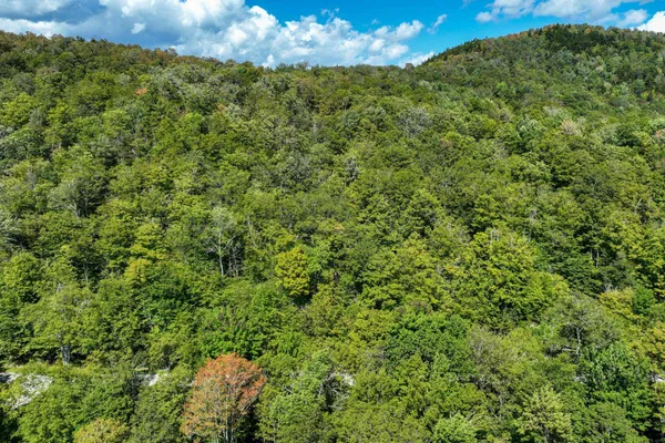 $53,000 | 3-57 Snowy Owl Lane, Plymouth, VT 05056