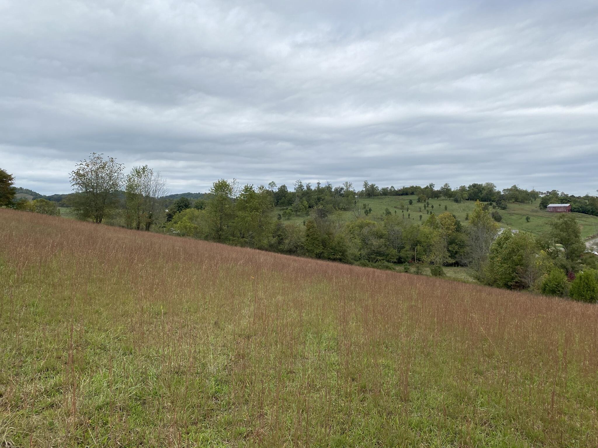 3025 Milburnton Road Limestone, TN 37681 - Photo 21 of 27 0547CDED-0DED-4092-8ACA-E437D431769A