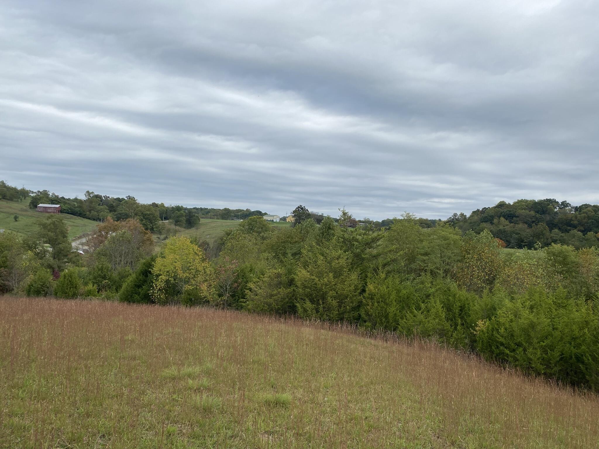 3025 Milburnton Road Limestone, TN 37681 - Photo 22 of 27 D9418D83-FFA3-4944-AEEE-85EB44F07DCB