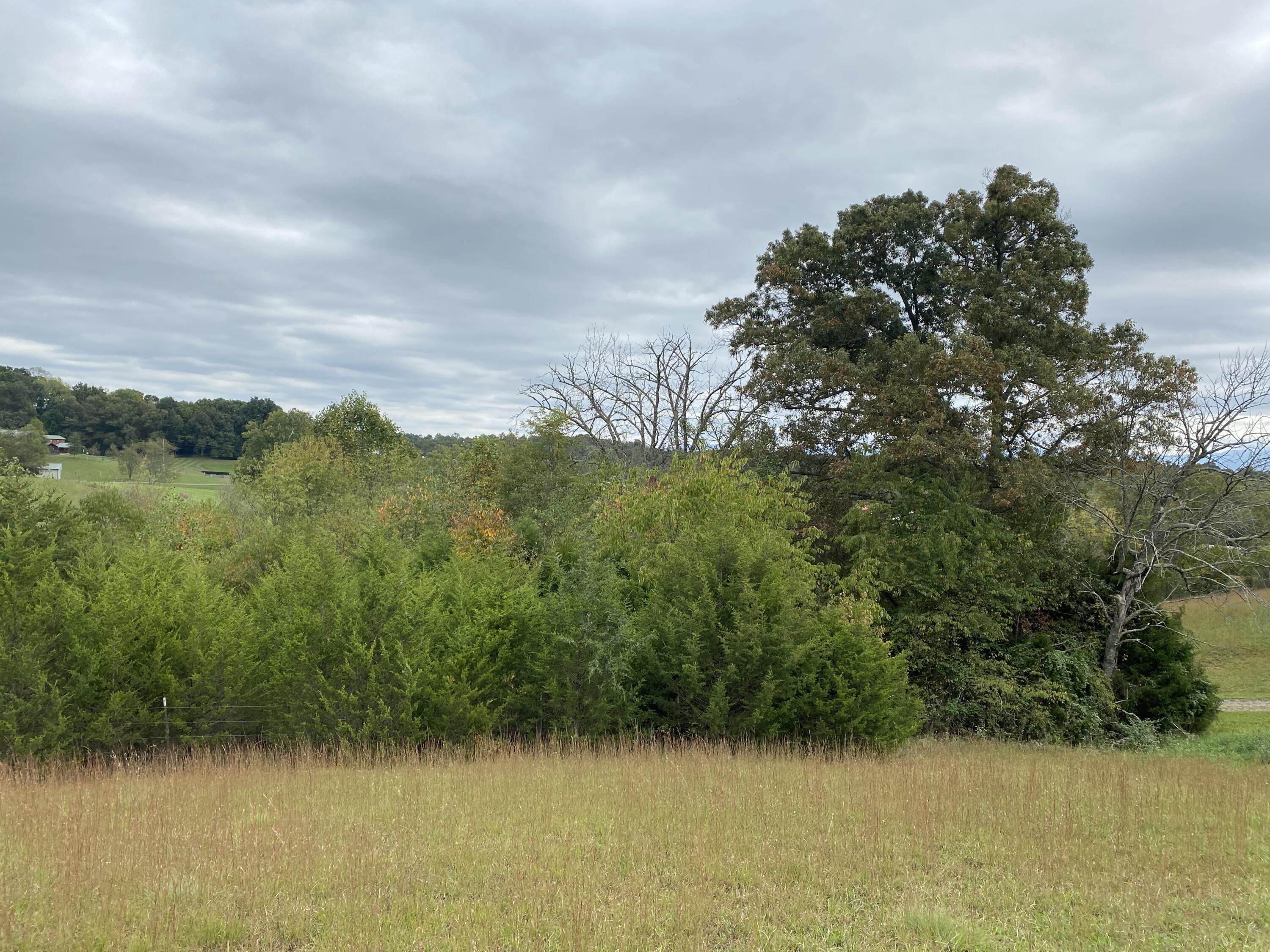 3025 Milburnton Road Limestone, TN 37681 - Photo 23 of 27 848636F6-AECA-4C70-9F41-5D9684327283