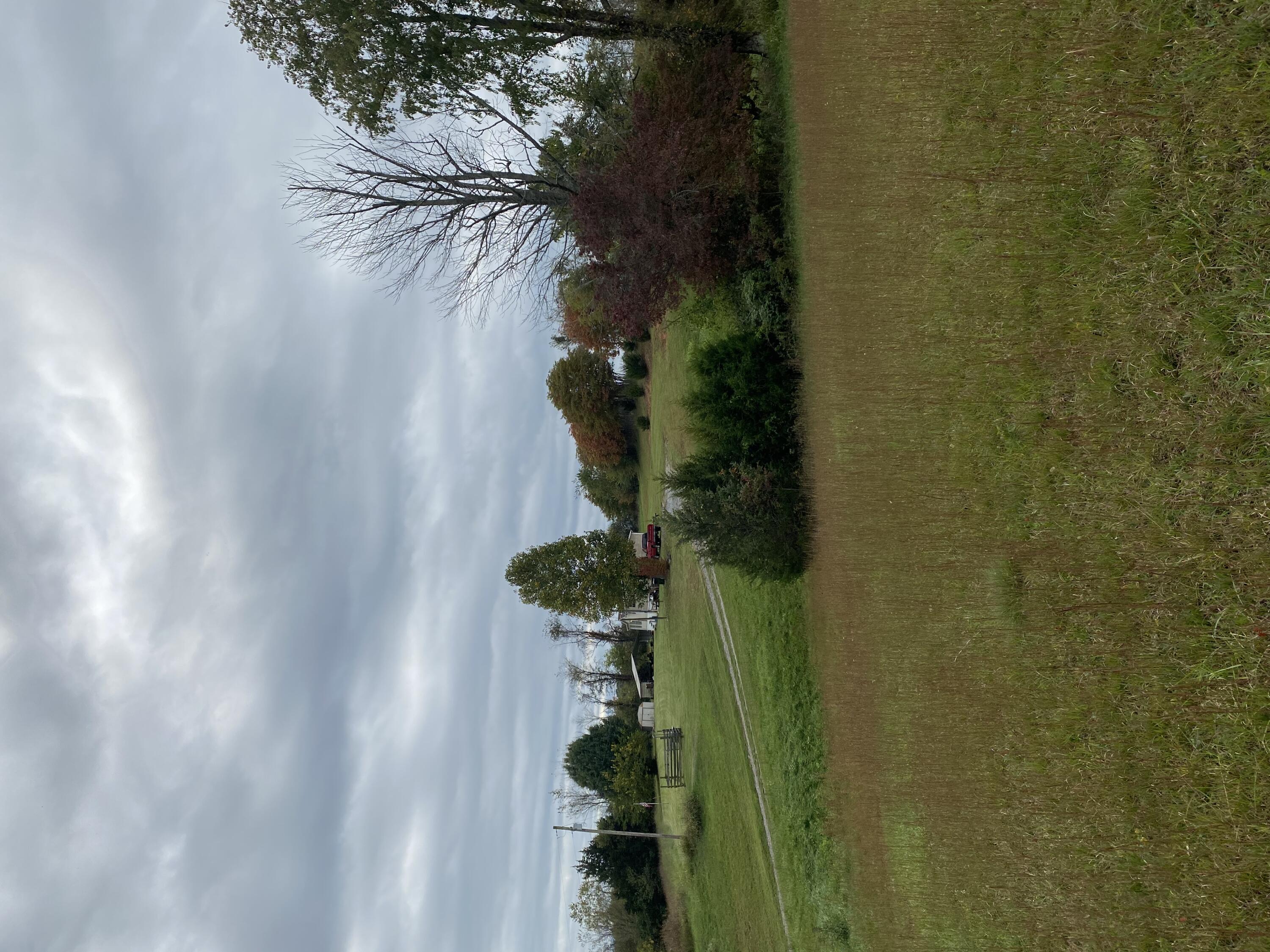 3025 Milburnton Road Limestone, TN 37681 - Photo 24 of 27 95EE2062-41F7-40E9-84D6-F33C8C47BED9