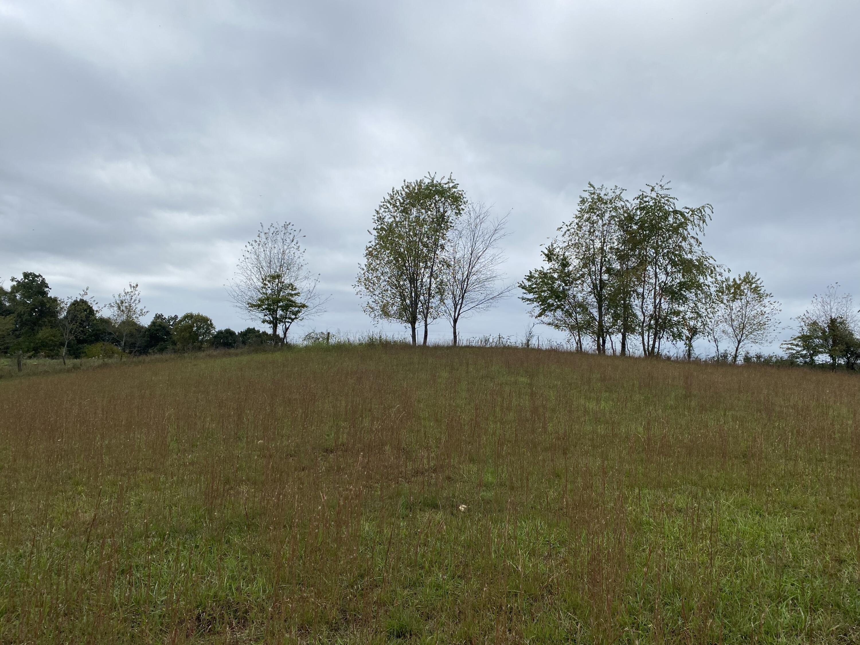 3025 Milburnton Road Limestone, TN 37681 - Photo 25 of 27 6D20F63A-3479-446D-9889-6C99AA301D7D
