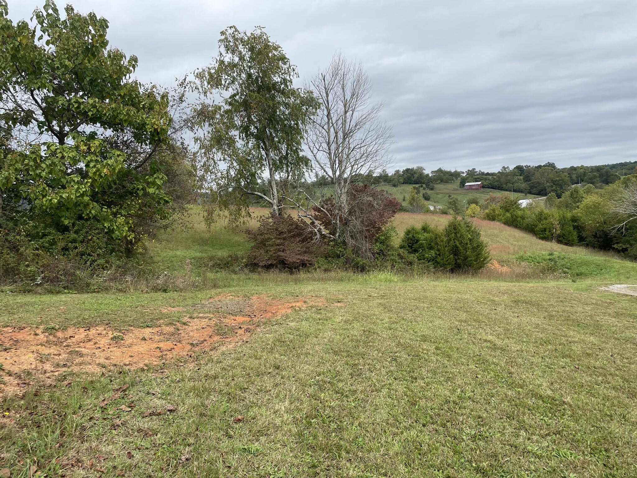 3025 Milburnton Road Limestone, TN 37681 - Photo 9 of 27 B8D89D3E-1F6D-4299-BFD2-EB2C9668A998