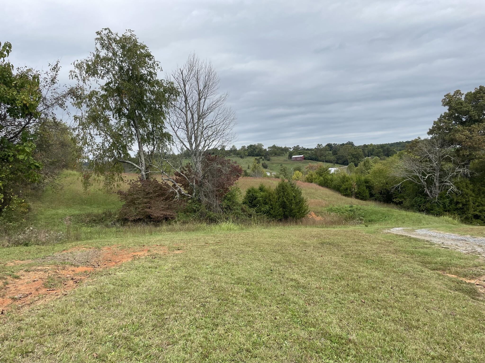 3025 Milburnton Road Limestone, TN 37681 - Photo 10 of 27 DF3640D5-E842-4CC5-8E16-15AADC85D17B