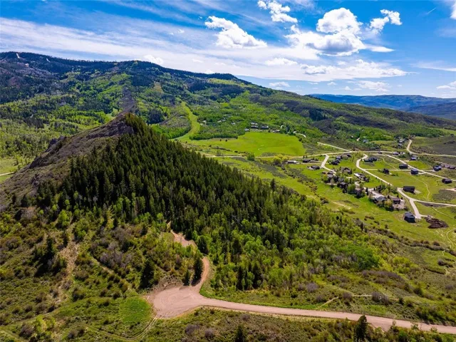 a view of a yard with an umbrella