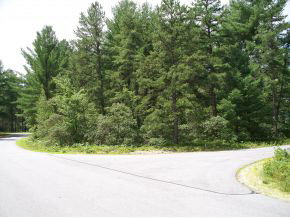 13 Red Baron Road Ossipee, NH 03890 - Photo 1 of 10