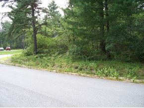 13 Red Baron Road Ossipee, NH 03890 - Photo 3 of 10