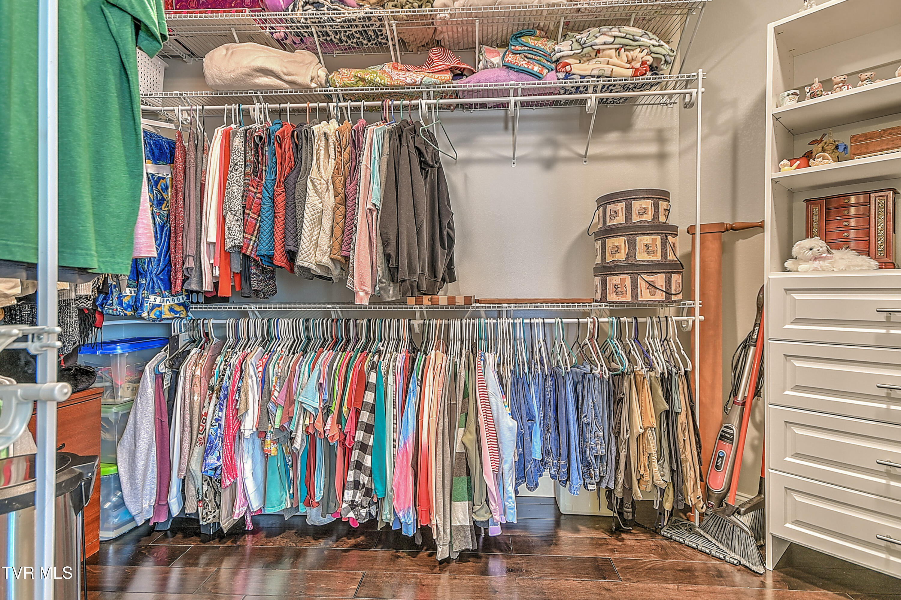 306 Saddle Ridge Court Greeneville, TN 37745 - Photo 16 of 40 Spacious Walk-In Closet