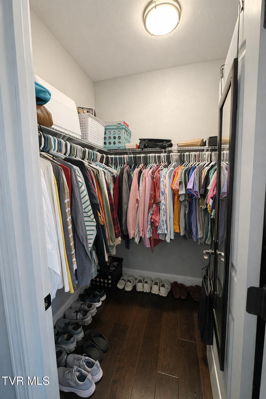 306 Saddle Ridge Court Greeneville, TN 37745 - Photo 19 of 40 Walk-In Closet