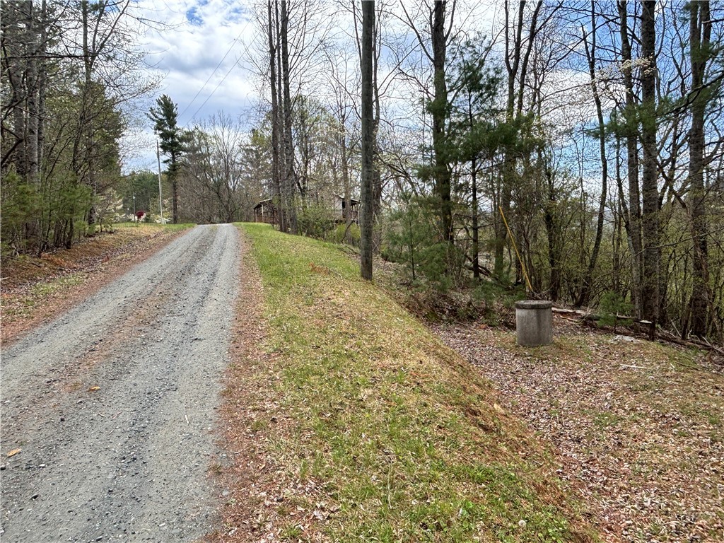 150 Turkey Ridge Crumpler, NC 28617 - Photo 38 of 40 a view of a backyard with large trees