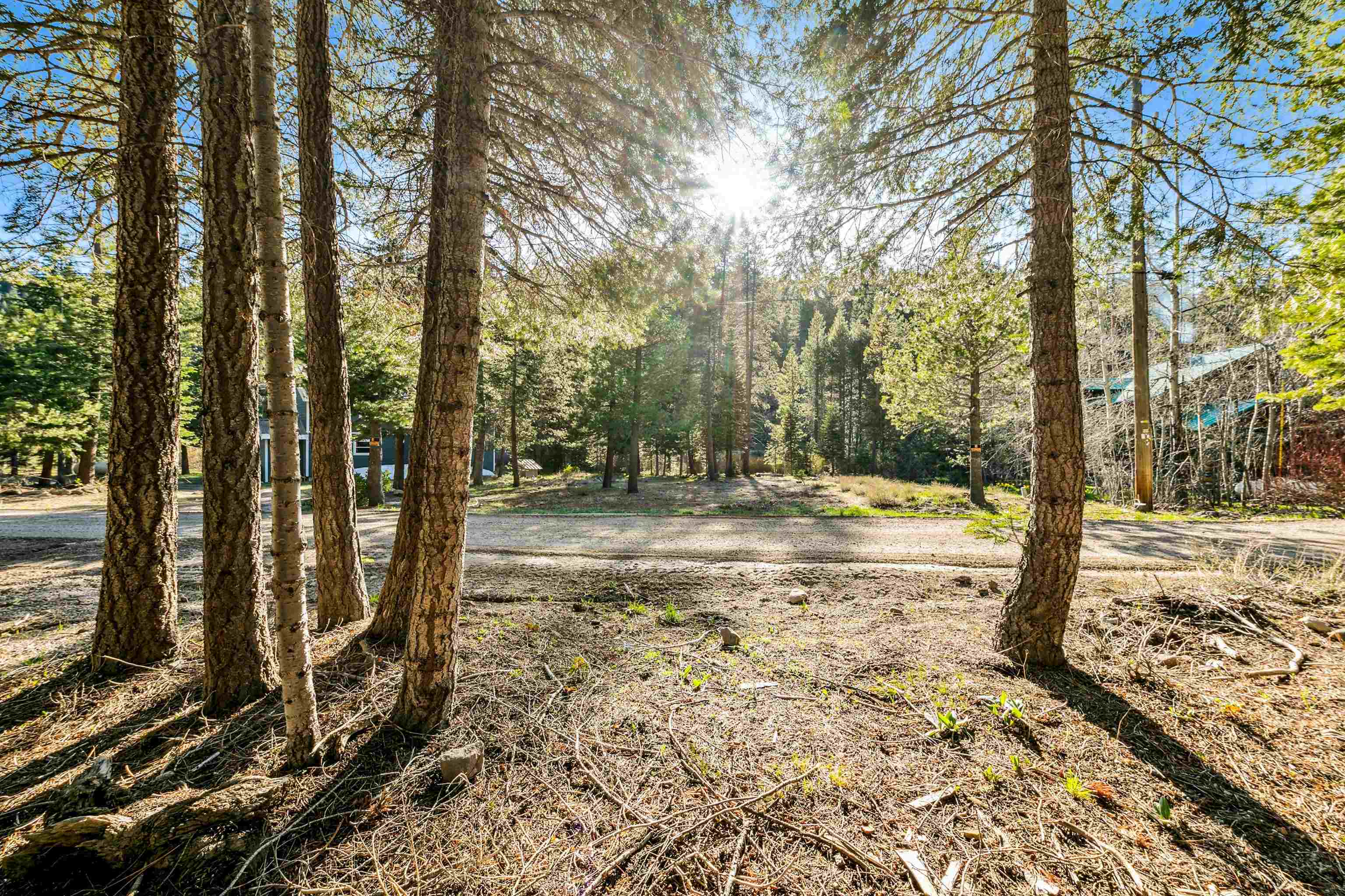 7898 River Road Truckee, CA 96161 - Photo 20 of 20 a view of a yard with trees